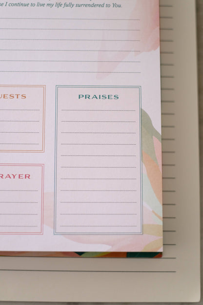 A Year of God's Goodness:A Prayer & Praise Tracker for Women
